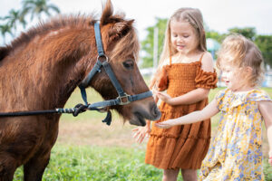 Redstone Ranch LLC, Equestrian Facility, Dover Delaware